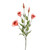 Olivia Lisianthus Spray Coral 78Cm