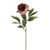 Amelia Peony Stem Russet 63Cm