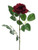 Premium Rose Medium Burgundy