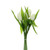 Tulip Bunch Cream 36Cm