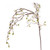 Cherry Blossom Weep Brnch Crm
