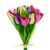 Tulip Bundle X 15 Purple/Pink