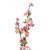 Peach Blossom Spry Mid Pink 91Cm