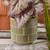 Geo Sage Plant Pot 11.5cm