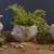 Ceramic Pot Hedgehog 22.5cm