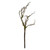 Moss Branch 56Cm