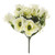 Flora Rose/Anemone Bush Cream