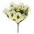 Flora Rose/Anemone Bush Cream