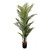 Potted Palm Tree 150cm
