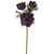 Plum Anemone Spray 46Cm