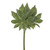 Aralia Leaf Bundle 32Cm