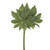Aralia Leaf Bundle 32Cm