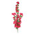 Essential Bouganvillia Trail - Pink