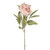 Dawn Peony Pink 62Cm