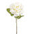 Dawn Rose Ivory 45Cm