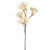 Frangipani Lemon 65Cm