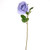 Elsa Open Rose Lilac 58Cm