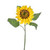 Sunflower Susan Lge Yellow