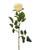 Precious Rose Bud Cream