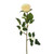 Precious Rose Bud Cream