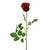 Precious Rose Bud Red