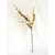 Lonicera Leaf Spray Brown
