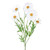 Daisy Spray White 66Cm