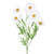 Daisy Spray White 66Cm