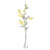 Mimosa Spray Yellow 80Cm