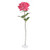 Rose Pippa Open Pink 68Cm