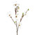 Magnolia Branch Cream 112Cm