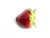 Fruit Strawberry X1