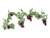 Fruit Grape Garland Red 180Cm