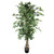 Potted Ficus Tree Green 185Cm