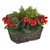 Geranium & Cypress Tree Window Basket Red