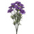 Flora Carnation Bush Purp 48Cm