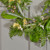 Country Bloom Wreath 61Cm