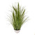 Potted Grass And Green Cattail 84Cm