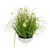 Potted Grass And White Cosmo 53Cm