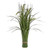 Grass Bundle Dragon Fern
