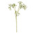 Prestige Gypsophila Spray 58Cm
