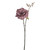 Dogwood Rose Spray Claret 48Cm Hqn