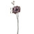 Dogwood Rose Spray Purple 48Cm Hqn