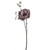 Dogwood Rose Spray Purple 48Cm Hqn