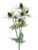 Sea Holly Spray Green 81Cm