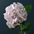 Luna Hydrangea Pink 75Cm