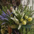 Lavender Bundle White