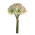 GERBERA BUNDLE X 8 CREAM