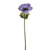 ANEMONE SINGLE STEM LIGHT PURPLE 35CM