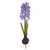 HYACINTH ON BULB PURPLE 34CM